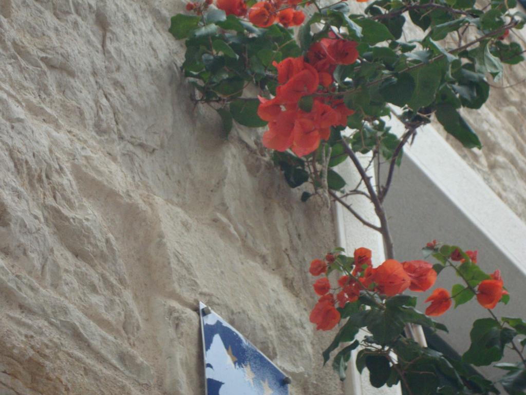 Apartments Sunce Σπλιτ Εξωτερικό φωτογραφία